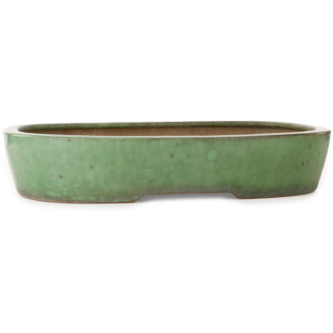 Ovale groene bonsaipot van Shuhou - 473 x 360 x 85 mm