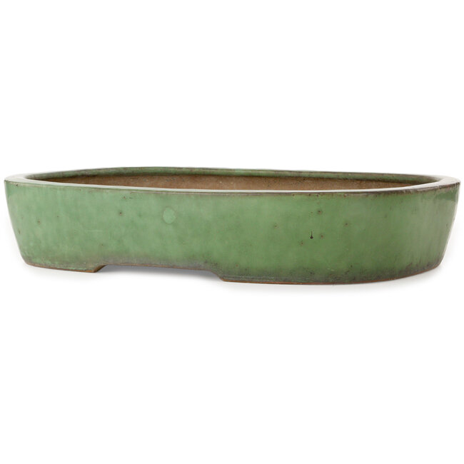 Ovale groene bonsaipot van Shuhou - 473 x 360 x 85 mm