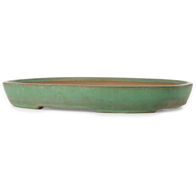 Oval green bonsai pot by Yamafusa - 465 x 330 x 58 mm