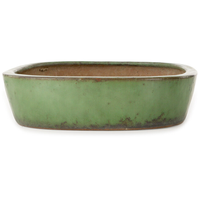 Pot ovale vert pour bonsaï de Shuhou - 473 x 360 x 85 mm