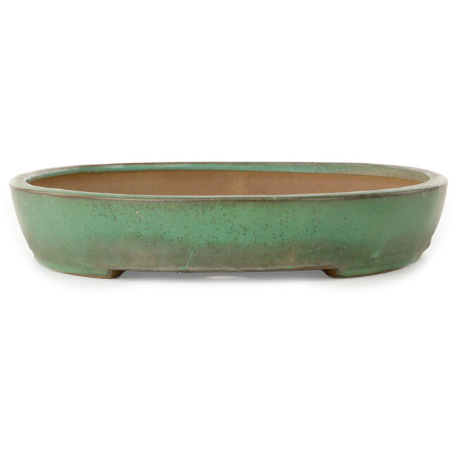 Pot ovale vert pour bonsaï de Yamafusa - 465 x 330 x 58 mm