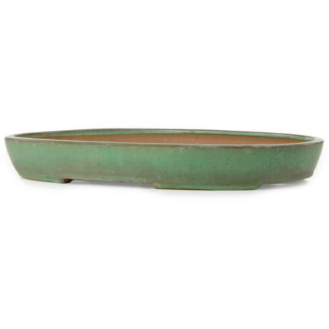 Pot ovale vert pour bonsaï de Yamafusa - 465 x 330 x 58 mm