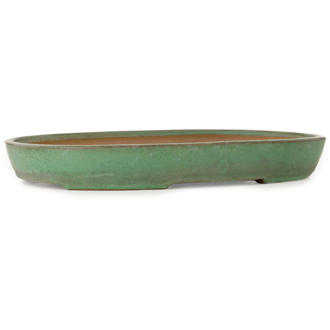 Ovale groene bonsaipot van Yamafusa - 465 x 330 x 58 mm