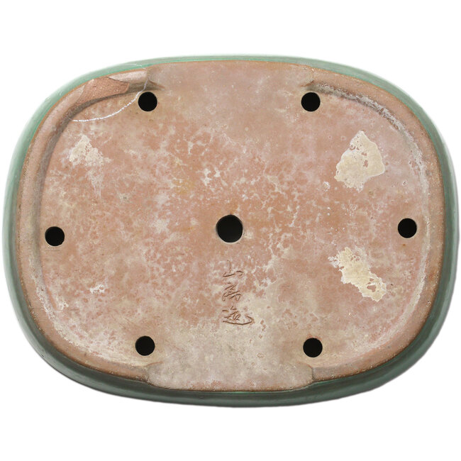 Ovale groene bonsaipot van Yamafusa - 410 x 317 x 82 mm