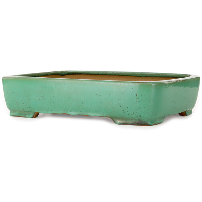 Vaso bonsai rettangolare verde di Yamafusa - 415 x 305 x 90 mm