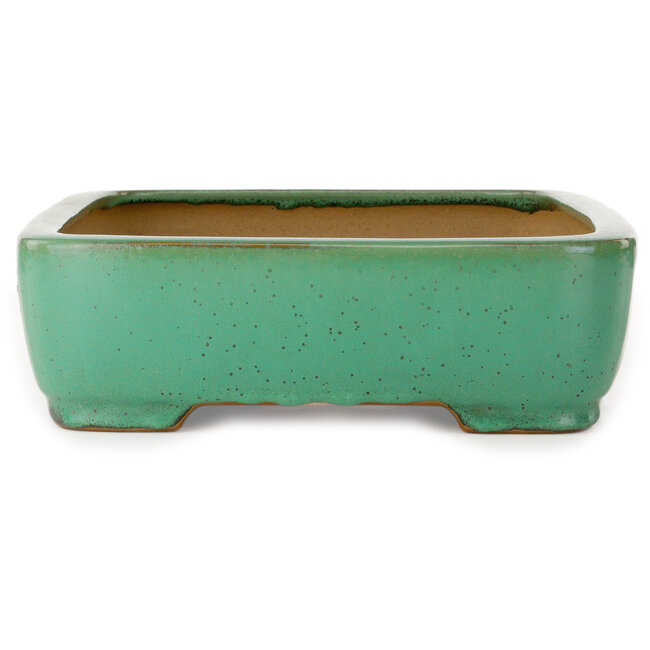 Rectangular green bonsai pot by Yamafusa - 415 x 305 x 90 mm