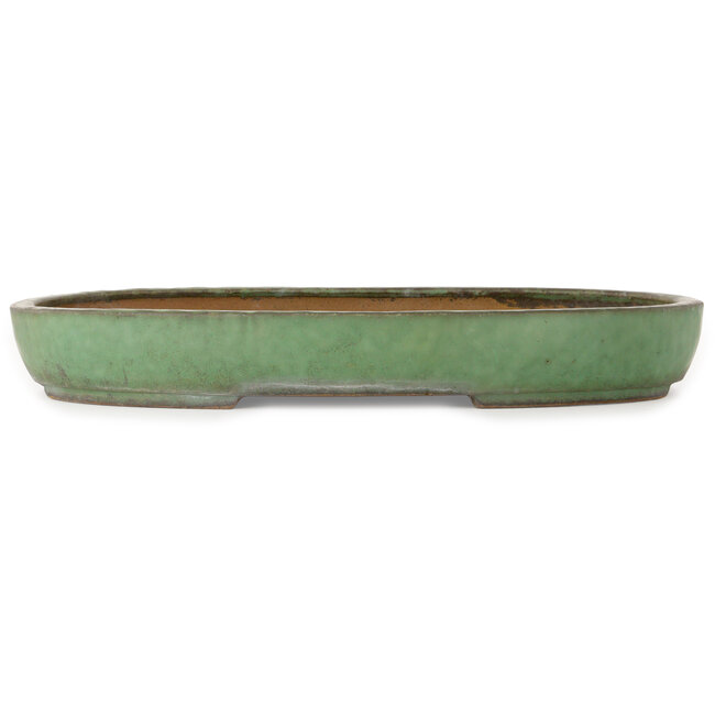 Vaso bonsai ovale verde di Shuhou - 480 x 345 x 70 mm