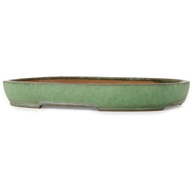 Maceta ovalada verde para bonsái de Shuhou - 480 x 345 x 70 mm