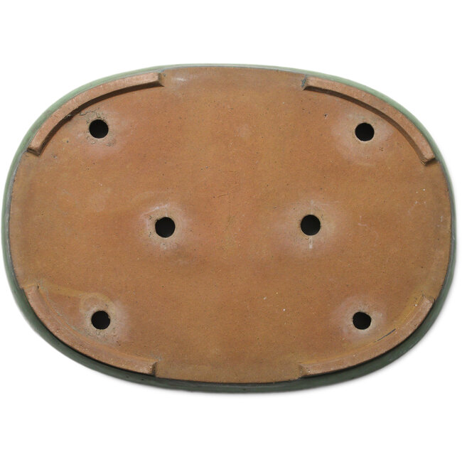 Pot ovale vert pour bonsaï de Shuhou - 480 x 345 x 70 mm