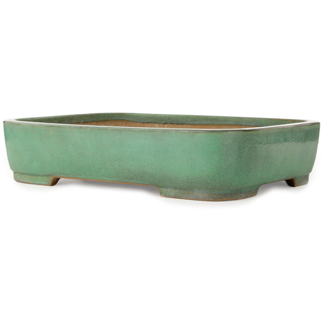 Maceta rectangular verde para bonsái de Yamafusa - 472 x 345 x 100 mm