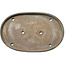 Pot à bonsaï ovale vert de Shuhou - 557 x 350 x 45 mm