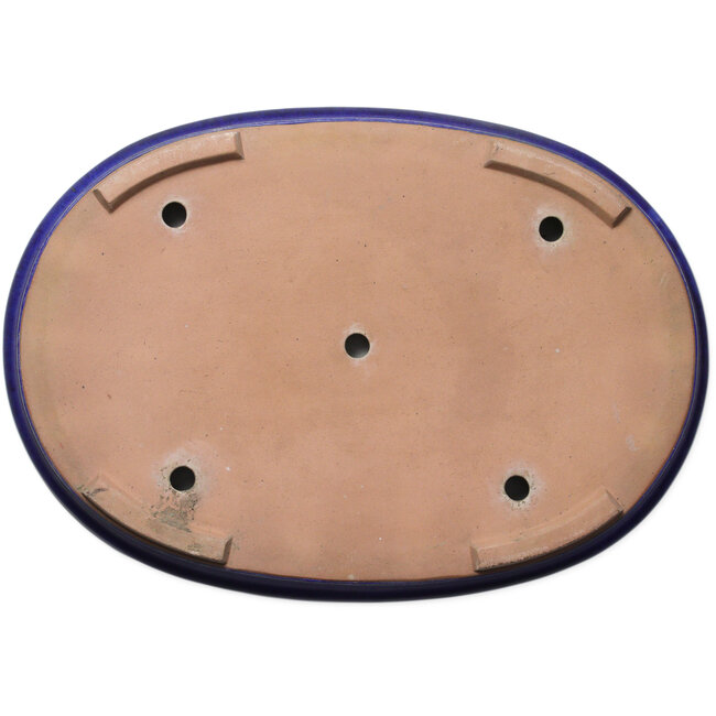 Ovale blauwe bonsaipot - 605 x 420 x 65 mm