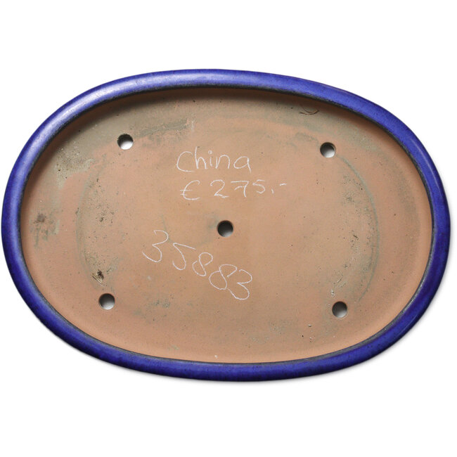 Pot ovale bleu pour bonsaï - 605 x 420 x 65 mm