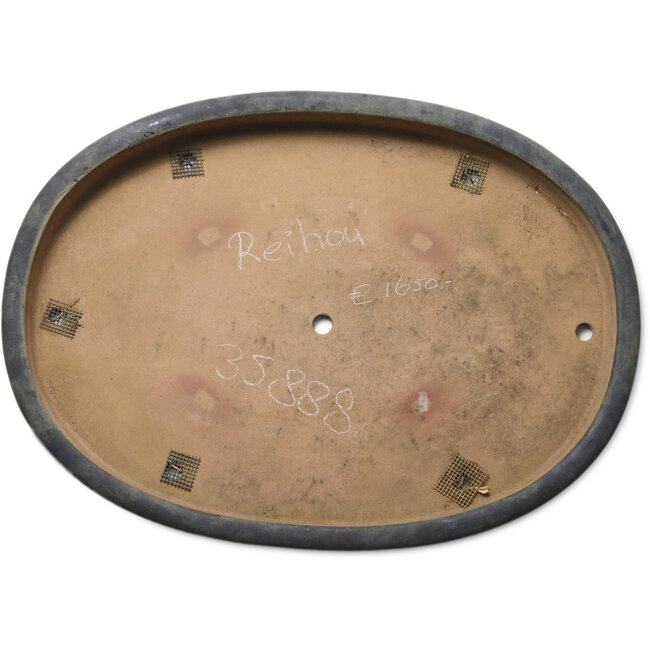 Ovaler blauer Bonsaitopf von Seizan (Reihou, Kataoka Katsushi, Meister Seizan-Ofen) – 660 x 490 x 75 mm