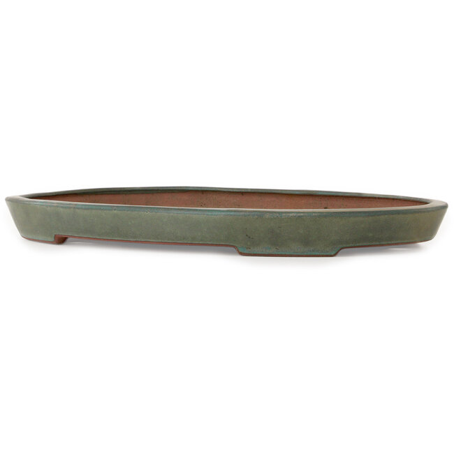 Pot à bonsaï ovale bleu sarcelle par Seizan (Reihou, Kataoka Katsushi, maître four Seizan) - 400 x 270 x 35 mm