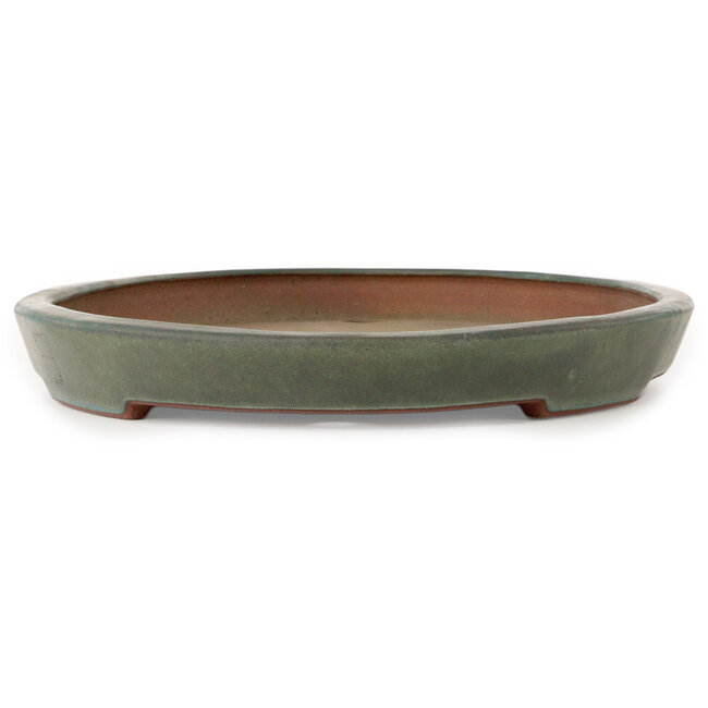 Maceta ovalada para bonsái verde azulado de Seizan (Reihou, Kataoka Katsushi, maestro del horno Seizan) - 400 x 270 x 35 mm