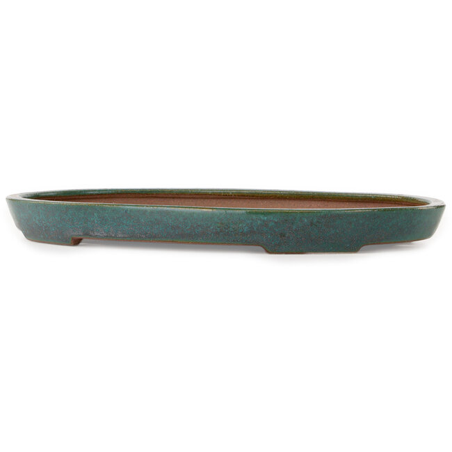 Oval teal bonsai pot by Seizan (Reihou, Kataoka Katsushi, master Seizan kiln) - 400 x 270 x 35 mm