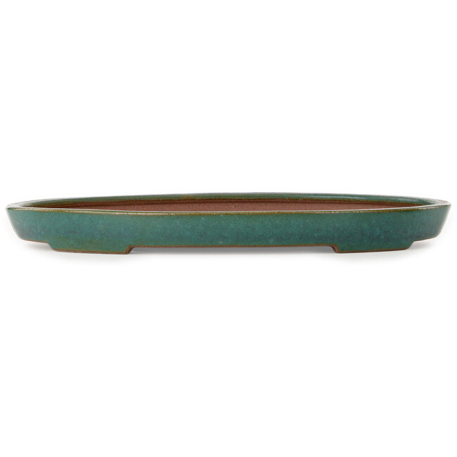 Oval teal bonsai pot by Seizan (Reihou, Kataoka Katsushi, master Seizan kiln) - 400 x 270 x 35 mm