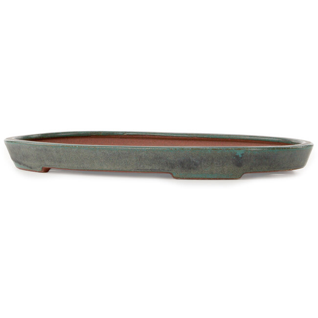 Oval teal bonsai pot by Seizan (Reihou, Kataoka Katsushi, master Seizan kiln) - 400 x 270 x 35 mm