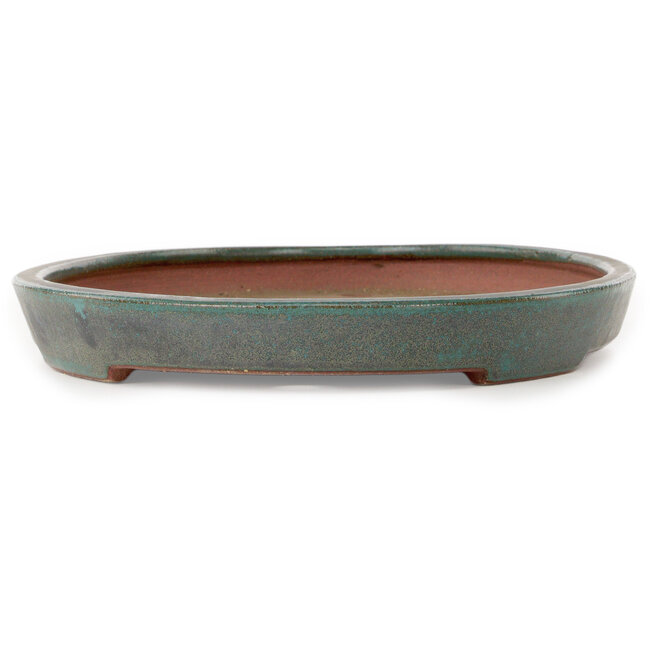 Oval teal bonsai pot by Seizan (Reihou, Kataoka Katsushi, master Seizan kiln) - 400 x 270 x 35 mm