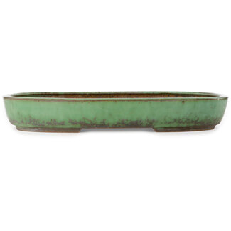  Shuuhou (Hidemi Kataoka) Pot à bonsaï vert ovale de 478 mm par Shuhou, Tokoname, Japon