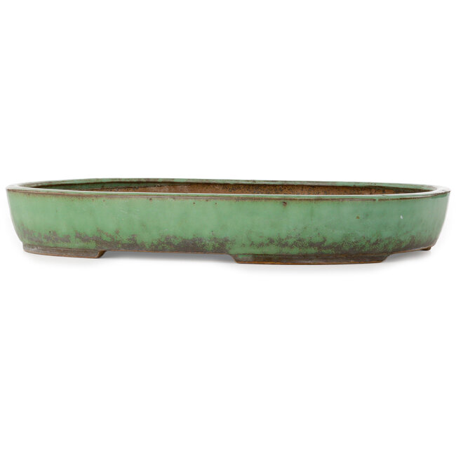 Oval green bonsai pot by Shuhou - 478 x 345 x 65 mm