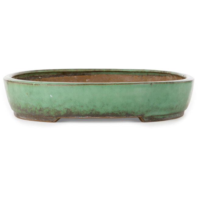 Oval green bonsai pot by Shuhou - 478 x 345 x 65 mm