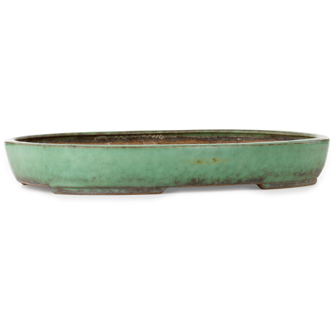 Maceta ovalada verde para bonsái de Shuhou - 478 x 345 x 65 mm