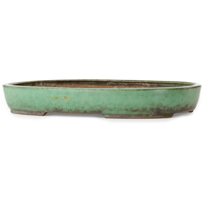 Oval green bonsai pot by Shuhou - 478 x 345 x 65 mm