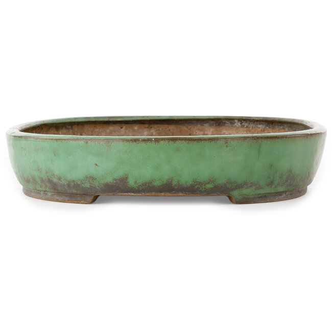 Oval green bonsai pot by Shuhou - 478 x 345 x 65 mm