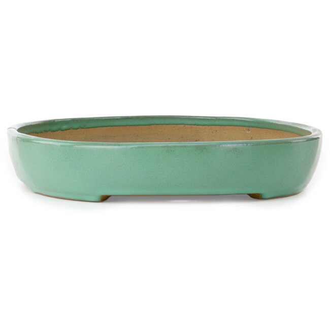 Pot ovale vert pour bonsaï de Yamafusa - 463 x 320 x 58 mm