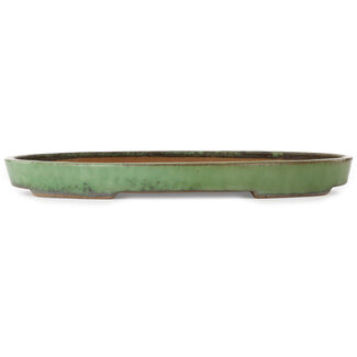  Shuuhou (Hidemi Kataoka) Pot à bonsaï vert ovale de 465 mm par Shuhou, Tokoname, Japon