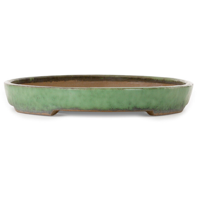 Oval green bonsai pot by Shuhou - 465 x 322 x 45 mm