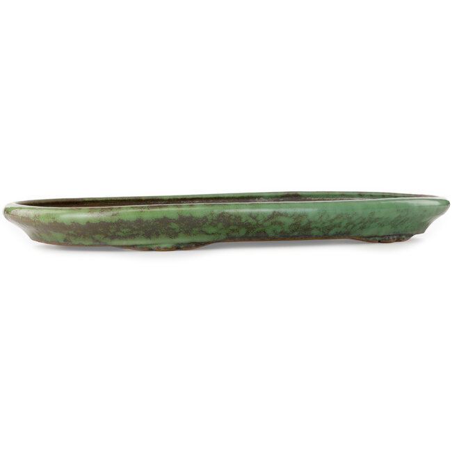 Maceta ovalada verde para bonsái de Shuhou - 575 x 355 x 50 mm
