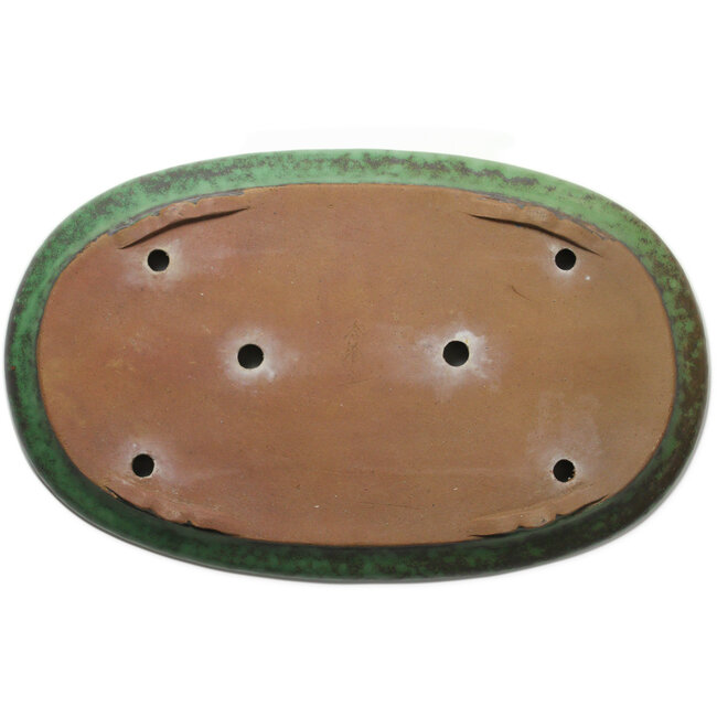 Maceta ovalada verde para bonsái de Shuhou - 575 x 355 x 50 mm