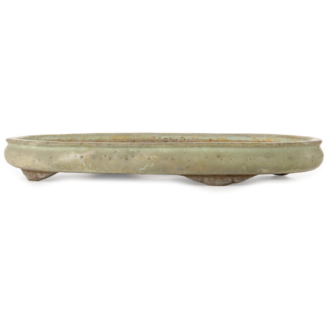 Pot ovale vert pour bonsaï de Shuhou - 485 x 360 x 57 mm