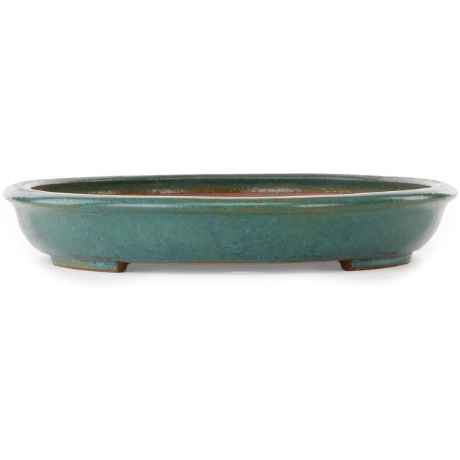 Ovale blauwgroen bonsaipot van Seizan (Reihou, Kataoka Katsushi, meester Seizan oven) - 455 x 330 x 53 mm