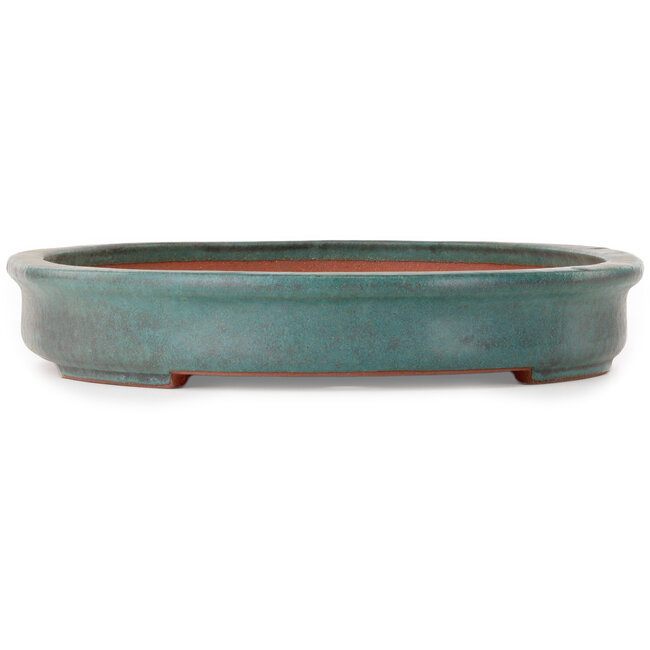 Oval teal bonsai pot by Seizan (Reihou, Kataoka Katsushi, master Seizan kiln) - 512 x 365 x 60 mm