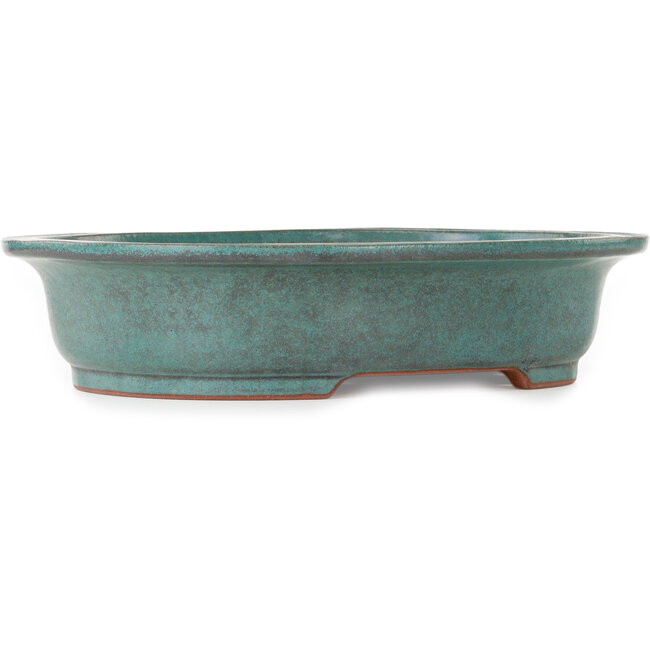 Ovale blauwgroen bonsaipot van Seizan (Reihou, Kataoka Katsushi, meester Seizan oven) - 407 x 328 x 90 mm