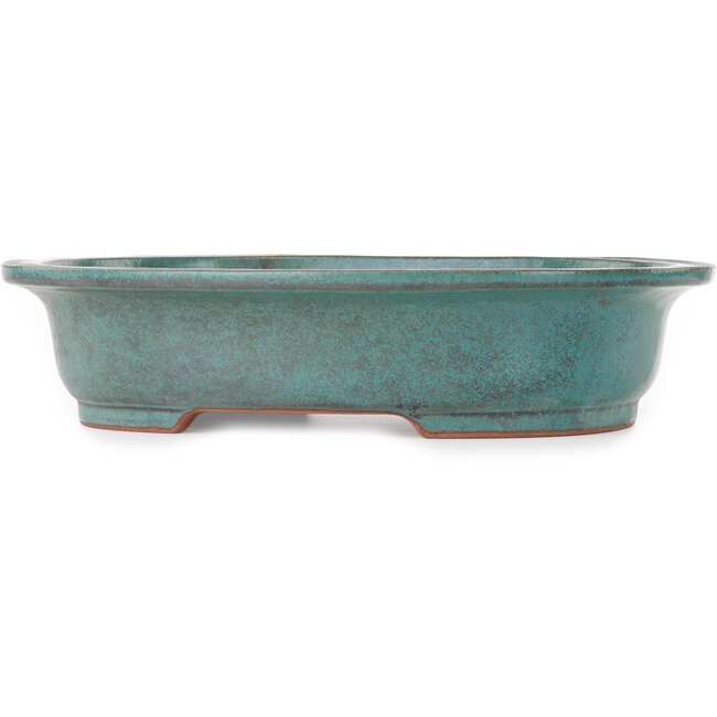Maceta ovalada para bonsái verde azulado de Seizan (Reihou, Kataoka Katsushi, maestro del horno Seizan) - 407 x 328 x 90 mm
