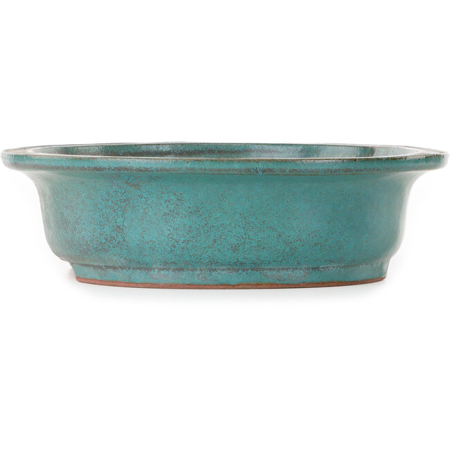 Vaso bonsai ovale verde acqua di Seizan (Reihou, Kataoka Katsushi, forno del maestro Seizan) - 407 x 328 x 90 mm