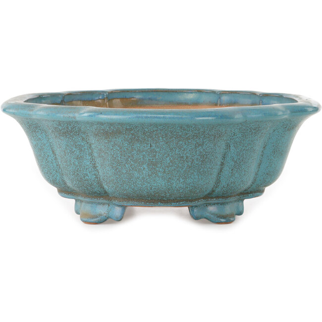 Mokko teal bonsai pot by Seizan (Reihou, Kataoka Katsushi, master Seizan kiln) - 432 x 365 x 130 mm