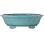 Mokko teal bonsai pot by Seizan (Reihou, Kataoka Katsushi, master Seizan kiln) - 432 x 365 x 130 mm