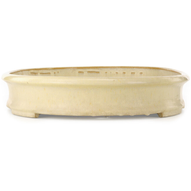 Pot à bonsaï ovale blanc cassé de Shuhou - 695 x 455 x 90 mm