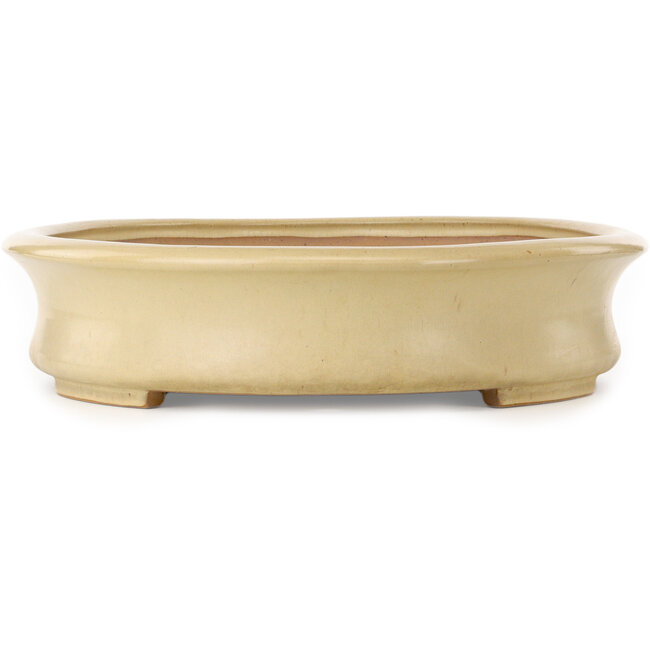 Vaso bonsai ovale bianco sporco di Seizan (Reihou, Kataoka Katsushi, forno del maestro Seizan) - 645 x 465 x 105 mm