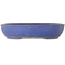 Oval blue bonsai pot by Shuhou - 505 x 415 x 110 mm