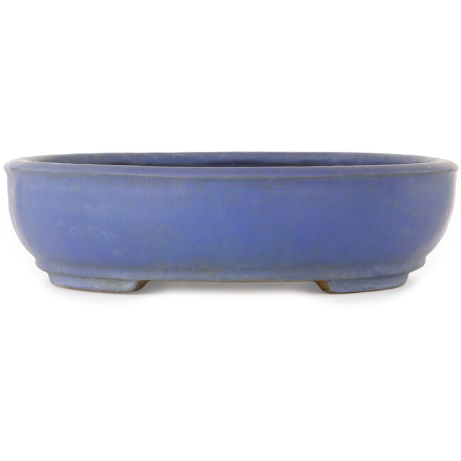 Oval blue bonsai pot by Shuhou - 505 x 415 x 110 mm