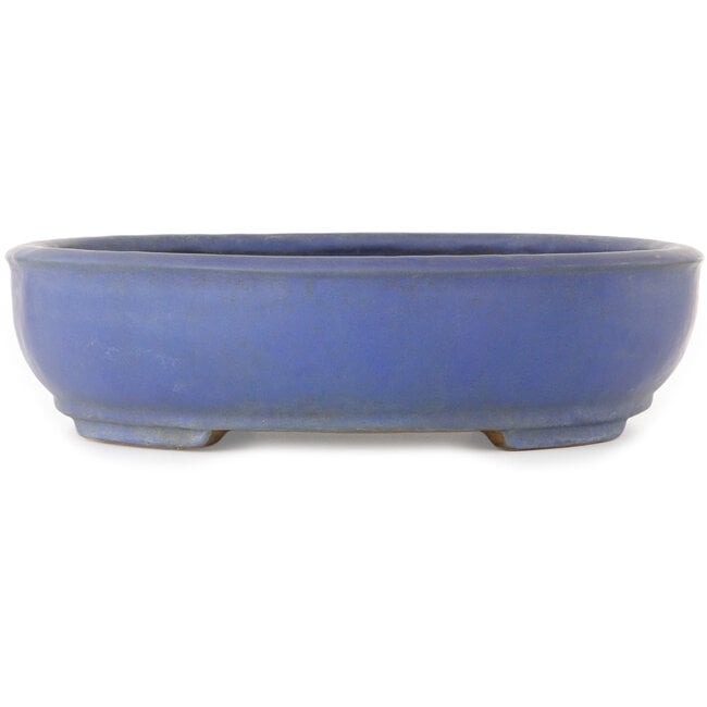 Pot ovale bleu pour bonsaï de Shuhou - 505 x 415 x 110 mm