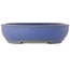 Pot ovale bleu pour bonsaï de Shuhou - 505 x 415 x 110 mm