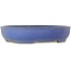 Pot ovale bleu pour bonsaï de Shuhou - 505 x 415 x 110 mm